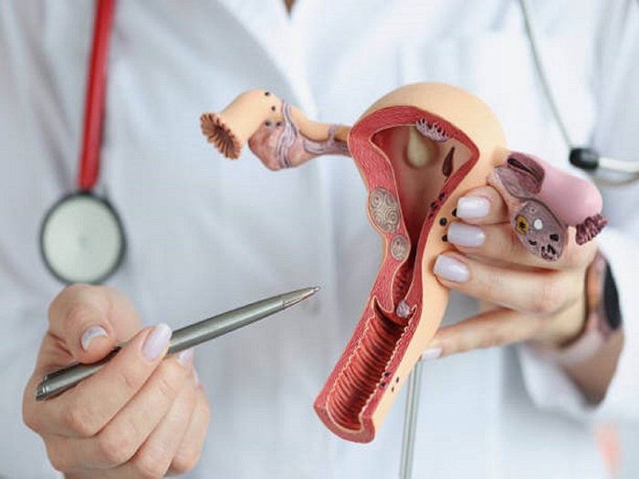 Gynecology Pelvic Ultrasound and Maternity Care